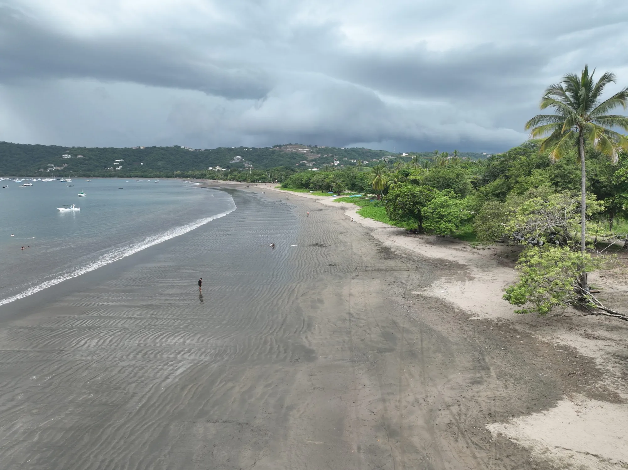 Wide sandy beach with a palm tree in Playas del Coco, Costa Rica